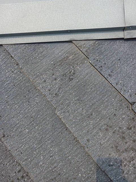 屋根点検もご相談ください